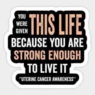 uterine cancer awareness - peach ribbon awareness - gynecological cancer awareness Sticker